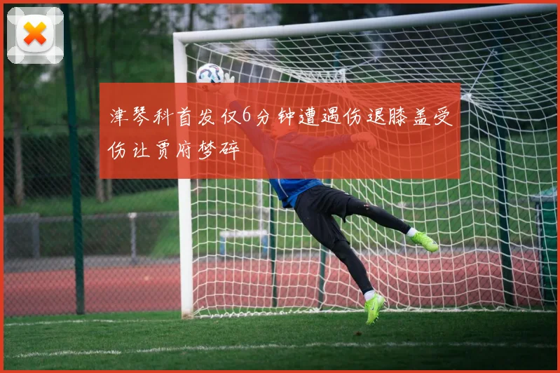 津琴科首发仅6分钟遭遇伤退膝盖受伤让贾府梦碎