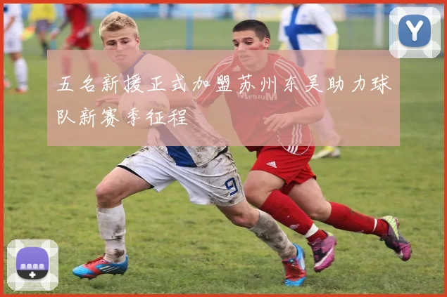 五名新援正式加盟苏州东吴助力球队新赛季征程